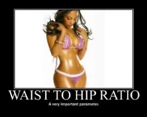 Hip to Waist Ratio (HWR) Calculator