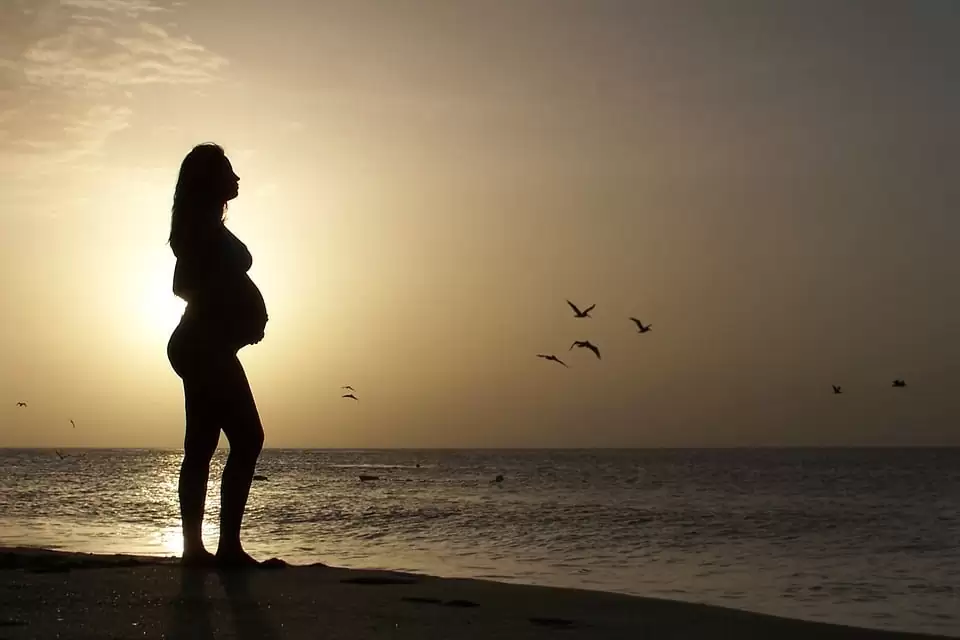 Beautiful Young Pregnant Woman In Beach